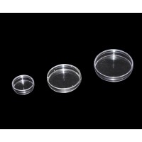 New product  65mm disposable petri dish