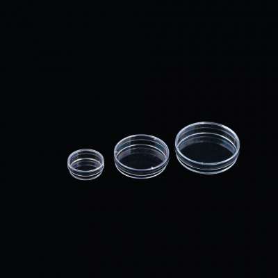 glass petri dish